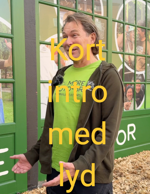 Skærmbillede 2024-11-20 kl. 09.26.38 Kort info med lyd