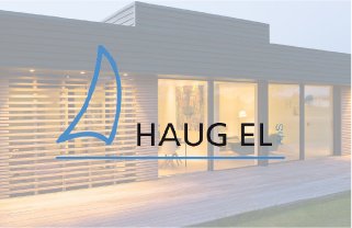 HAUG El Elektriker